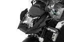 5.webp