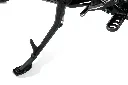 3.webp