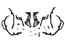 8.webp
